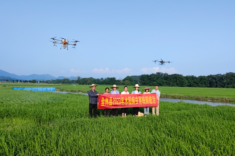 圖為6月10日，農(nóng)業(yè)植保機(jī)正在龍水鎮(zhèn)光田村水稻田上空作業(yè)。