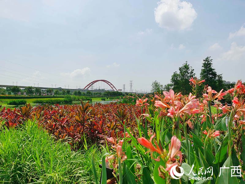 那考河濕地公園。人民網(wǎng) 付華周攝