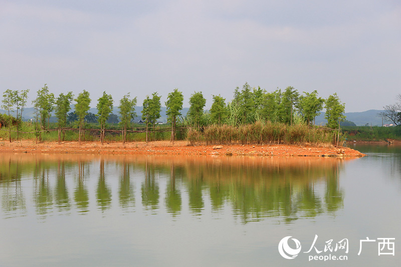 修復(fù)后的西津國(guó)家濕地公園一角。人民網(wǎng) 付華周攝