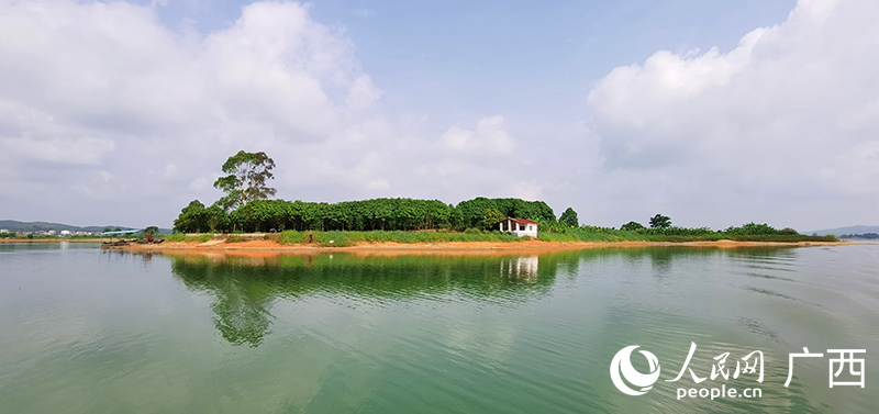 西津國(guó)家濕地公園。人民網(wǎng) 付華周攝