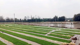 守住耕地紅線 守好良田沃土