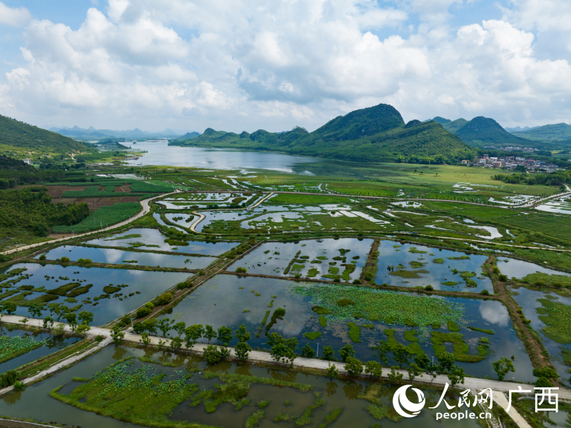 三利湖濕地公園。人民網(wǎng) 何寧攝