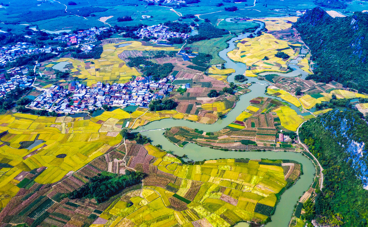 山清水秀產(chǎn)業(yè)興旺的廣西南寧市武鳴縣鑼圩鎮(zhèn)樹合村伏堪屯