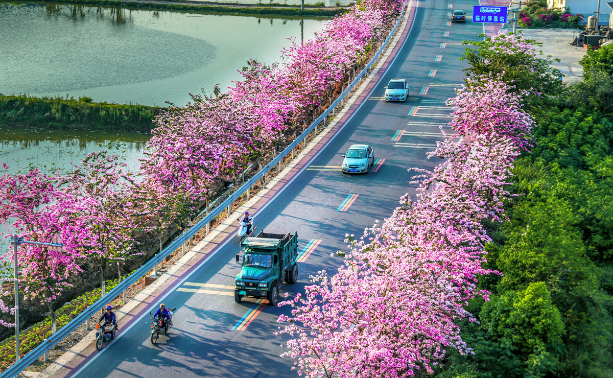 廣西梧州市蒙山縣蒙山鎮(zhèn)北樓村