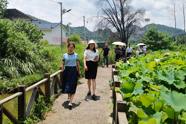 廟頭鎮(zhèn)人大組織代表調(diào)研天誠佳藕水生蔬菜示范園發(fā)展農(nóng)家樂，助推鄉(xiāng)村旅游發(fā)展情況。