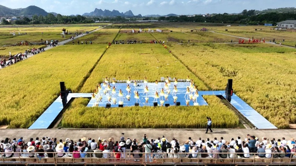 11月10日，玉林市慶祝中國農(nóng)民豐收節(jié)暨鬱上秋收稻田文化藝術(shù)節(jié)開幕式在五彩田園隆平高科水稻示范基地舉行