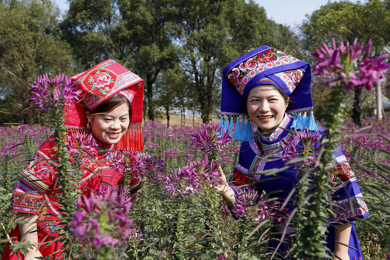 游客在忻城縣薰衣草莊園賞花游玩。樊紹光攝