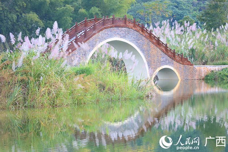 東蘭坡豪湖國家濕地公園冬日美景。人民網(wǎng) 付華周攝