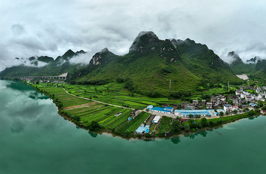 忻城縣六納村標(biāo)準(zhǔn)化桑蠶種養(yǎng)示范基地。羅仁維攝