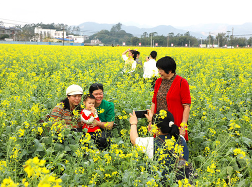 陸川縣洞心村：人花成海美如畫 賞花賞景嘗美食  滿目金黃香百里，一方春色醉千山。連日來，陸川縣溫泉鎮(zhèn)洞心村油菜花基地游人如織。游客們打卡、拍照、觀景、嘗美食、買土貨……不亦樂乎，流連忘返。   洞心村是陸川縣鄉(xiāng)村振興示范村。近年來，該村在農(nóng)業(yè)產(chǎn)業(yè)結(jié)構(gòu)調(diào)整上下功夫，先后培植了火龍果、富硒大米、秀珍菇等特色產(chǎn)業(yè)。去年冬，該村利用冬閑田種植油菜花300多畝。春節(jié)之后，油菜花陸續(xù)開放，田垌變成了花海，從而吸引了縣里縣外的游客到來游玩。溫泉鎮(zhèn)黨委政府抓住時機(jī)，設(shè)置農(nóng)產(chǎn)品展銷區(qū)，組織村民把自己種養(yǎng)的青菜、秀珍菇、雞蛋、土雞、土鴨、土山羊等農(nóng)產(chǎn)品拿到基地里賣……[詳細(xì)]