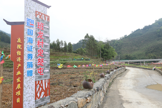 “一司一縣”結(jié)對幫扶縣田東縣定怒屯的“微菜園”產(chǎn)業(yè)發(fā)展項目。國海證券供圖