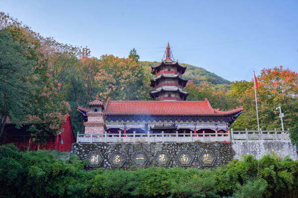 全州縣湘山寺公園內(nèi)欒樹盛開。