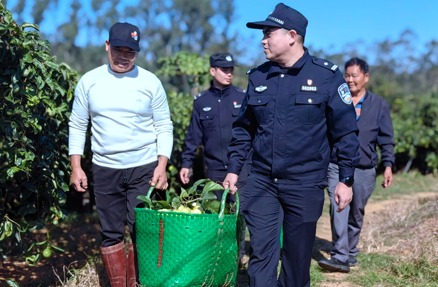 民警幫果農(nóng)搬運(yùn)百香果。