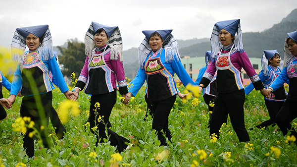 2月12日，廣西東蘭縣長江鎮(zhèn)板隆壯寨群眾在油菜花田里歡歌鬧元宵。高東風攝