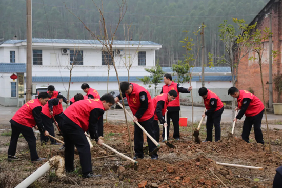 植樹現(xiàn)場